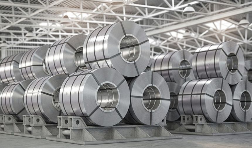 Başvuruyu bakanlığa yaptılar, karar için Cumhurbaşkanına taşıdılar