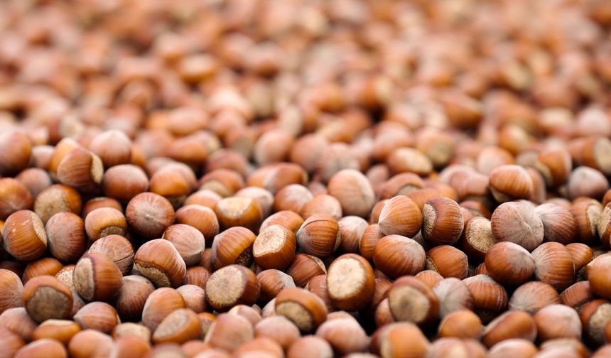 Ferrero Değerli Tarım Programı Ferrero Grubu'nun Tedarik Zincirini Daha Dayanıklı Hale Getirdi