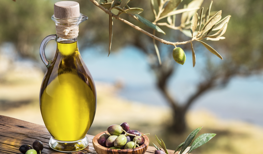 Türk zeytin ve zeytinyağı sektörü veri odaklı yeni döneme hazırlanıyor