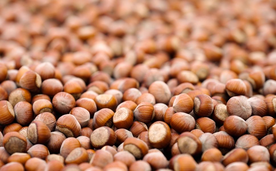 Ferrero Değerli Tarım Programı Ferrero Grubu'nun Tedarik Zincirini Daha Dayanıklı Hale Getirdi