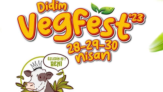 6 Vegfest Didim 1705341705 (1)