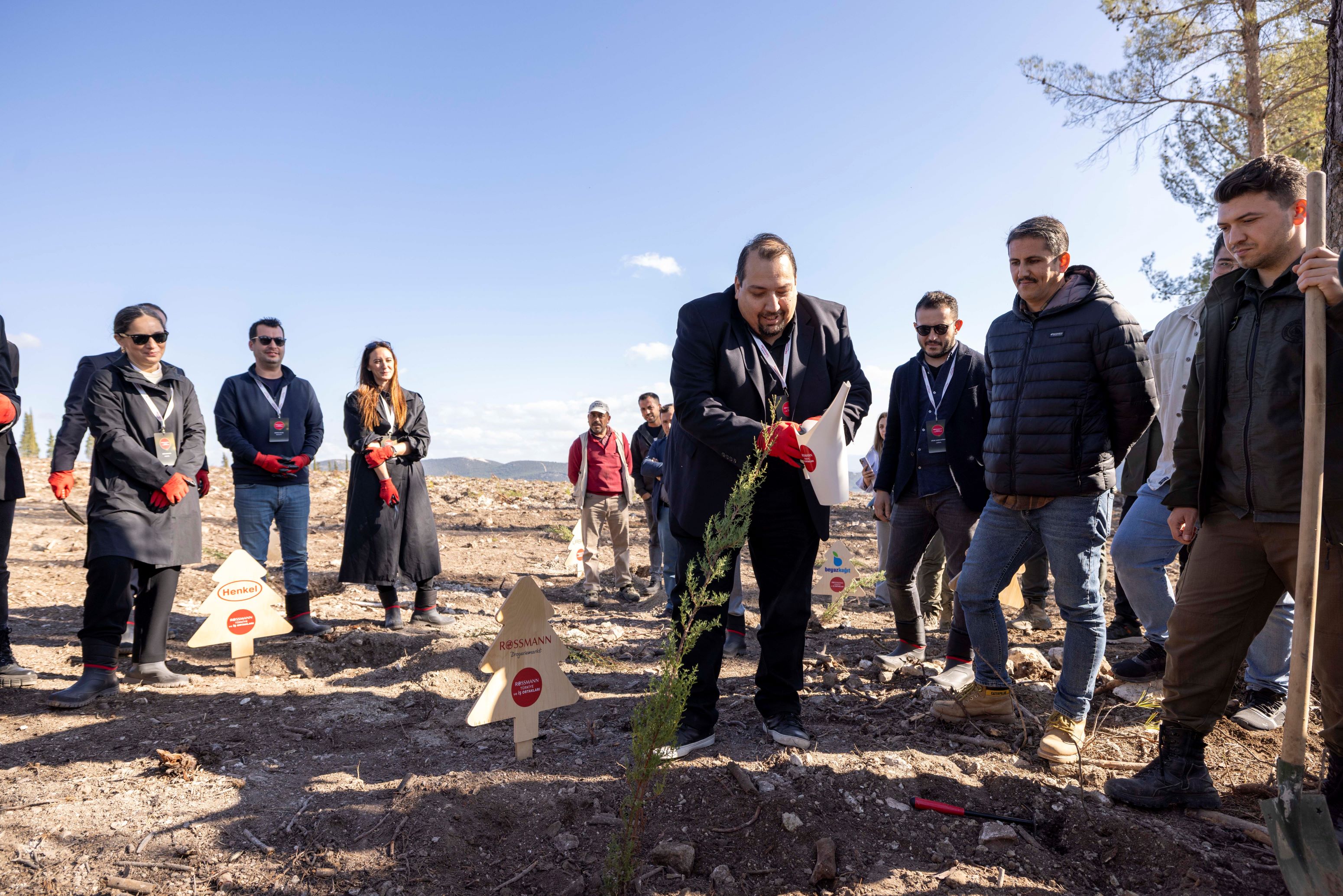 Hakan Ejder Fidan Dikimi