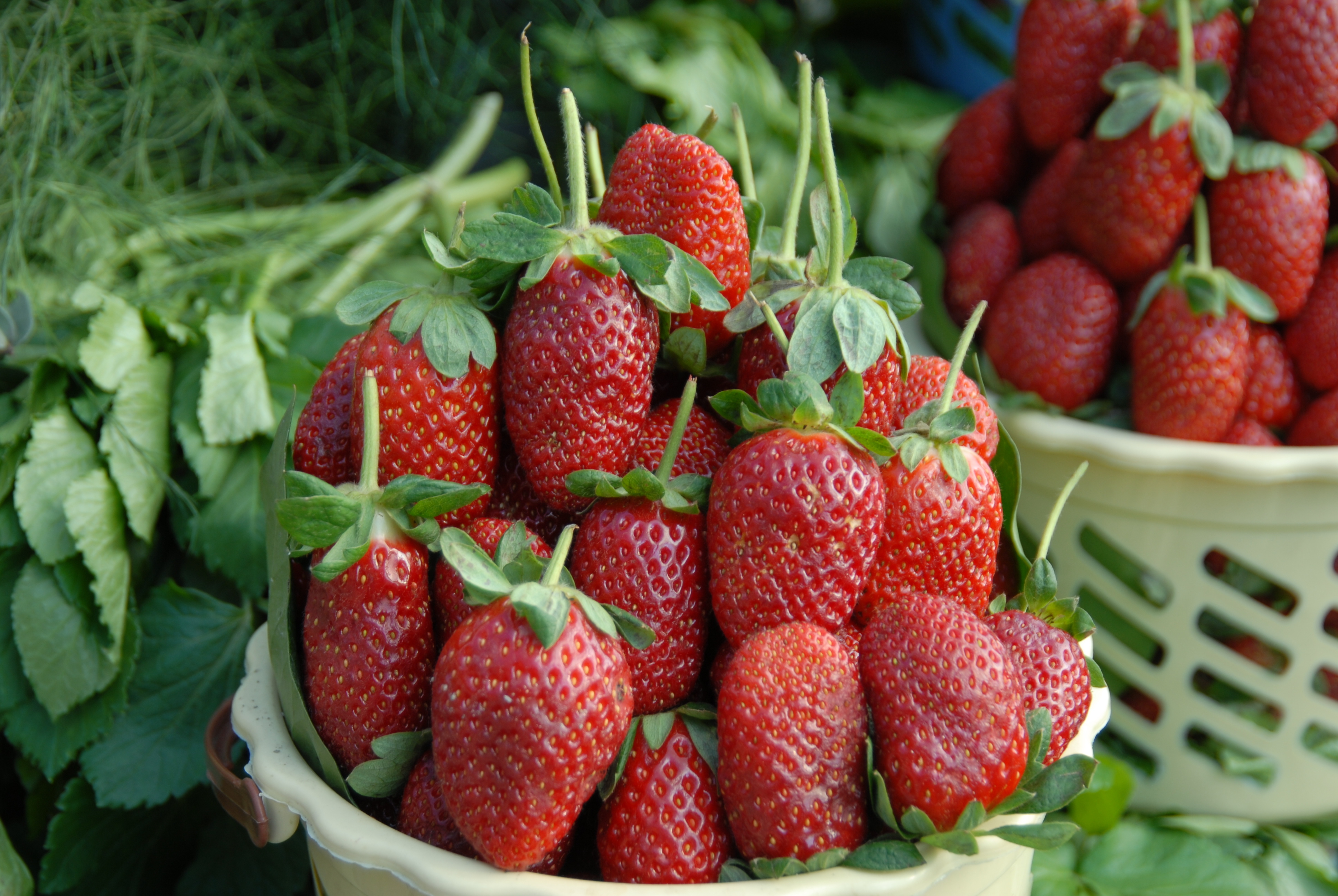 1770706027 1715587111 1652356243 1646203932 C I L E K5