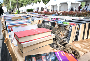 23.04.2026 4407C5Eb 1905 462A Bec6 2F30D899064B