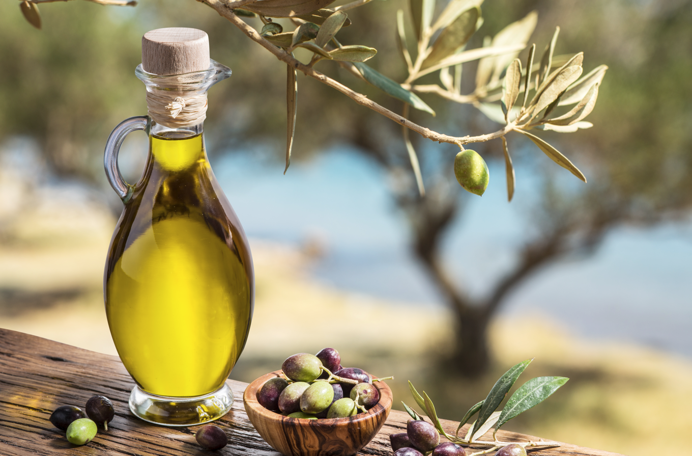 Türk zeytin ve zeytinyağı sektörü veri odaklı yeni döneme hazırlanıyor